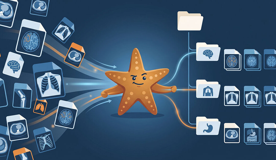 New White Paper: How ASU Built a Searchable DICOM Catalog for Global Health Research using Starfish